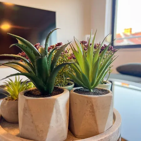 アパート Pepper Penthouse - Luxurious Duplex Apartment, 50m From The Bacvice Sand Beach *